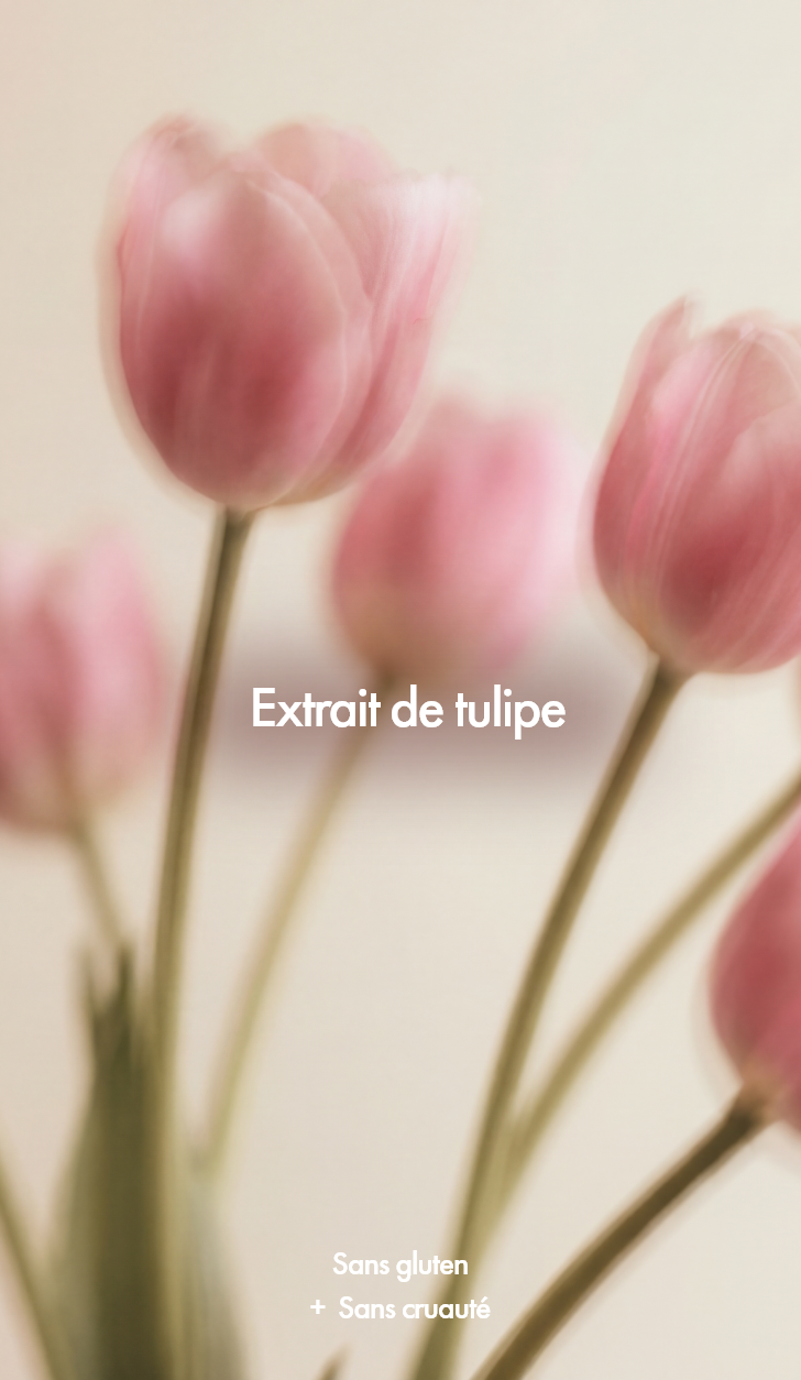 les Frizz-Free Pro Set de Keune  pour des cheveux lisses et soyeux.